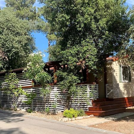 Pine And Lavander Home Biograd Na Moru Zewnętrze zdjęcie