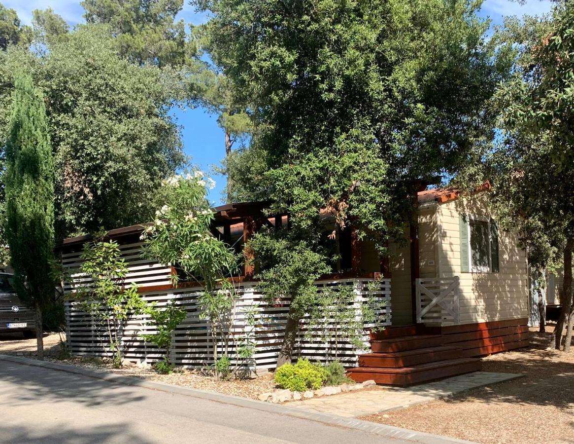 Pine And Lavander Home Biograd Na Moru Zewnętrze zdjęcie