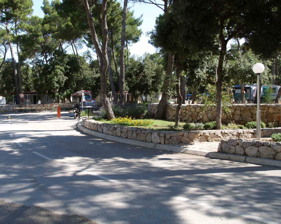 Pine And Lavander Home Biograd Na Moru Pokój zdjęcie